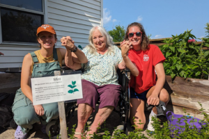 Three people holding hands in a garden